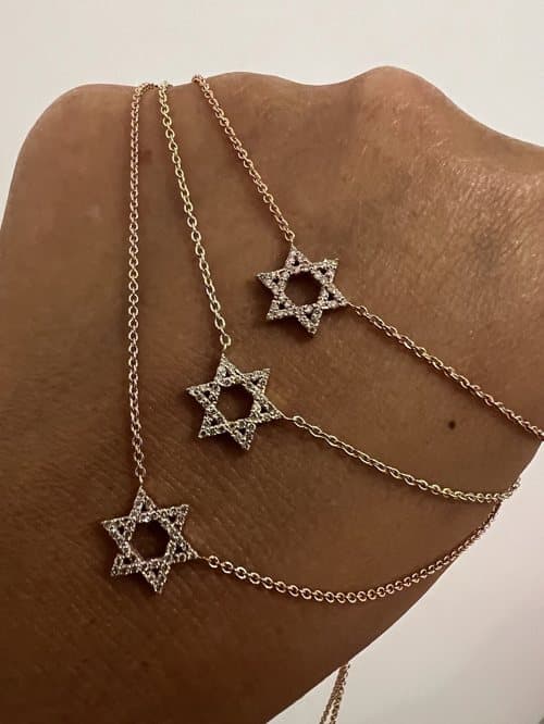 לקוחות ממליצות של DANOR